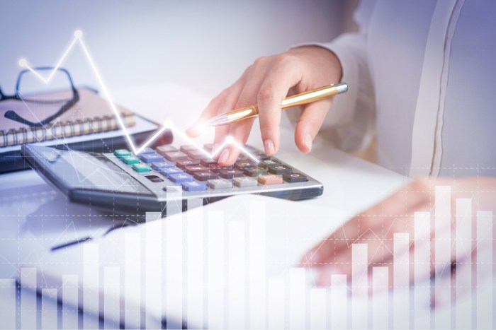 Investment 401k diversification